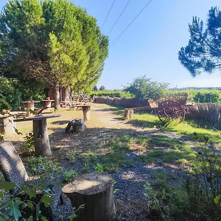 Camping Stacaravan In Marsillargues